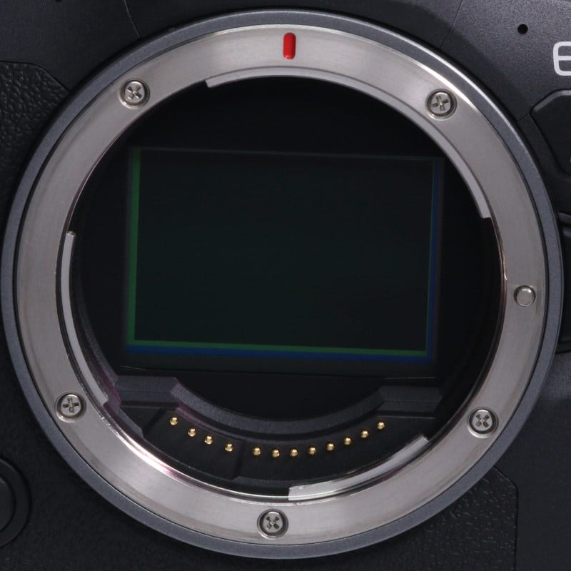EOS R6 Mark II ボディー