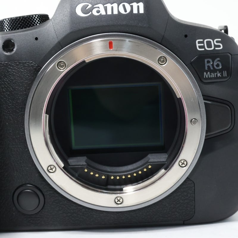 EOS R6 Mark II ボディー
