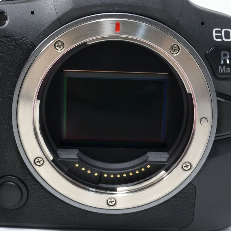 EOS R6 Mark II ボディー