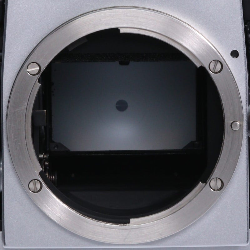 F アイレベル 後期 シルバー