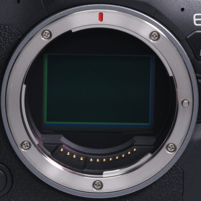 EOS R6 Mark II ボディー
