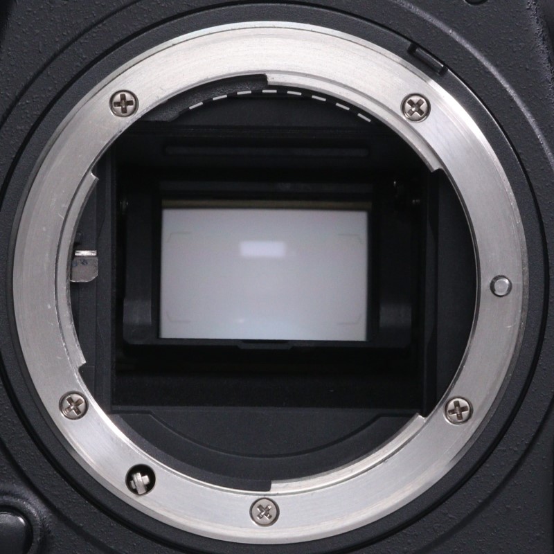 D500 ボディ