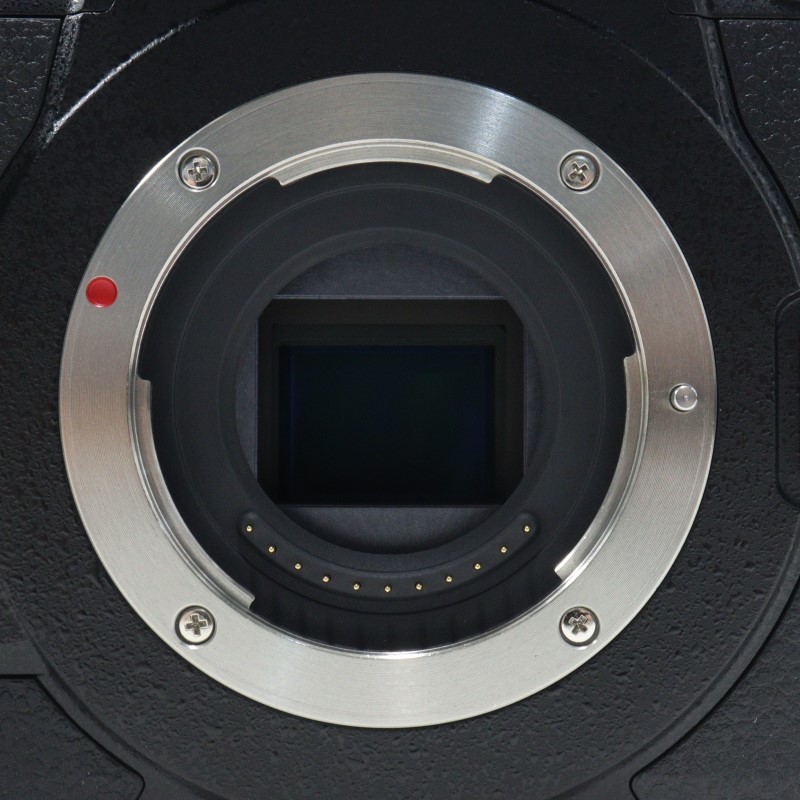 LUMIX GH5II DC-GH5M2