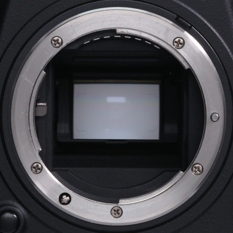 D500 ボディ
