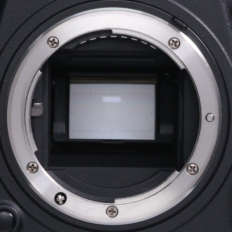 D500 ボディ
