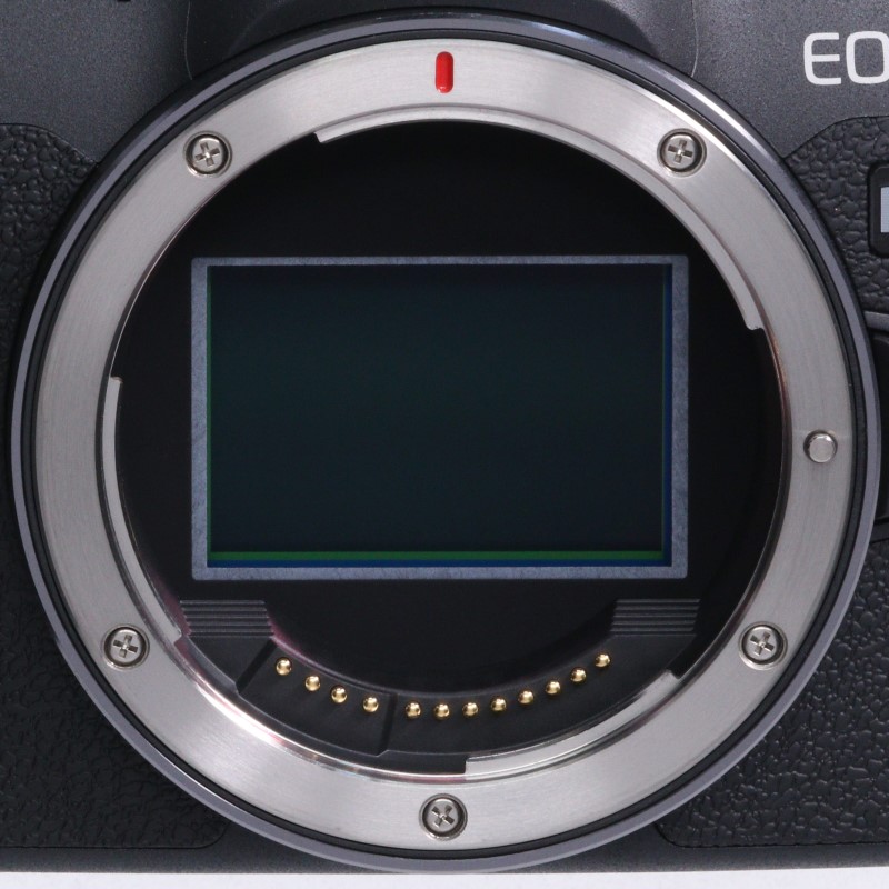 EOS R8