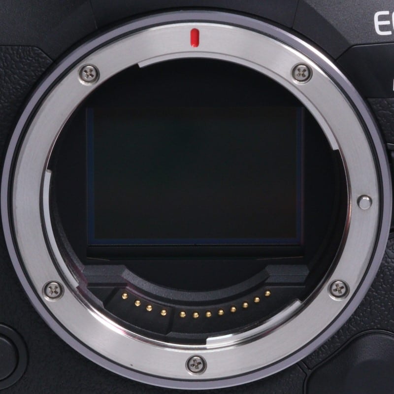 EOS R5 Mark II ボディー
