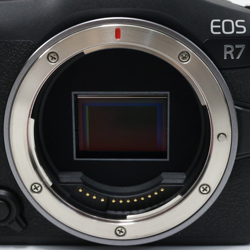 EOS R7 ボディー