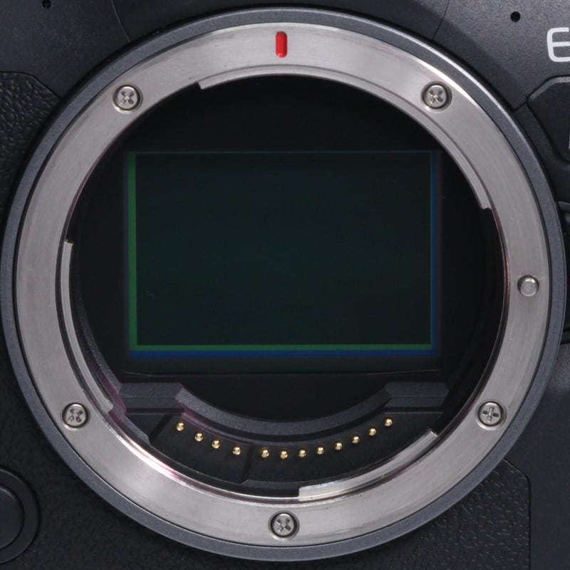 EOS R6 Mark II ボディー