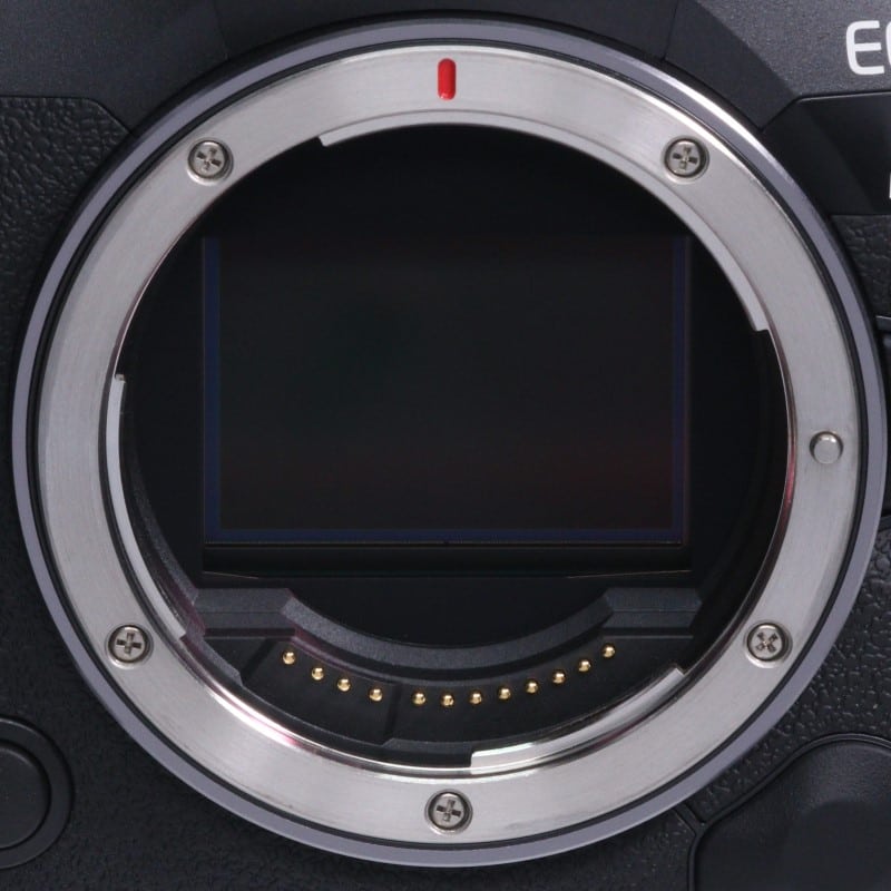 EOS R5 Mark II ボディー