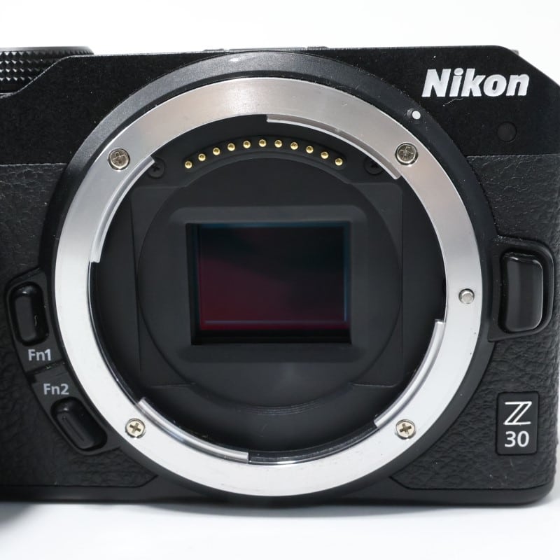 Z30 ボディ