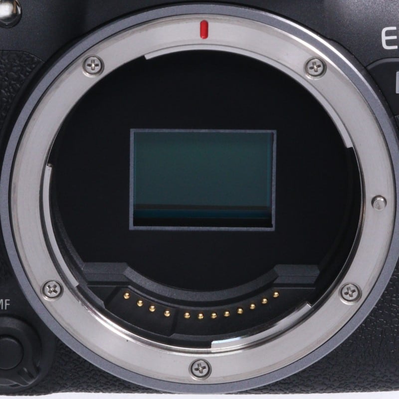 EOS R10 ボディー