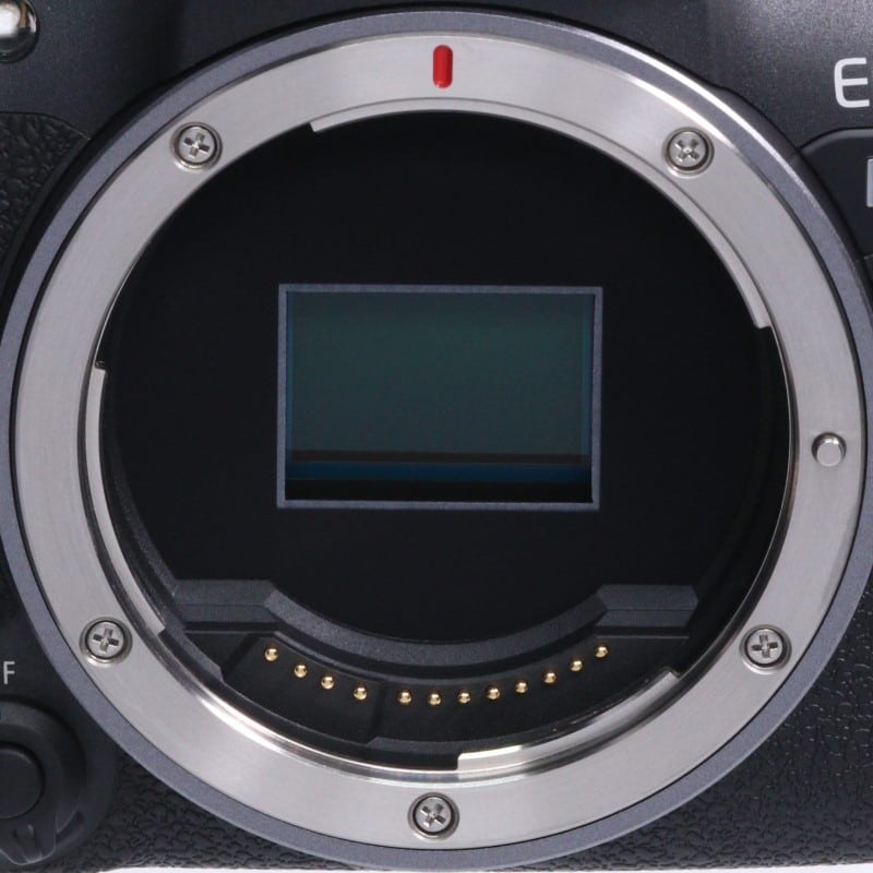 EOS R10 ボディー