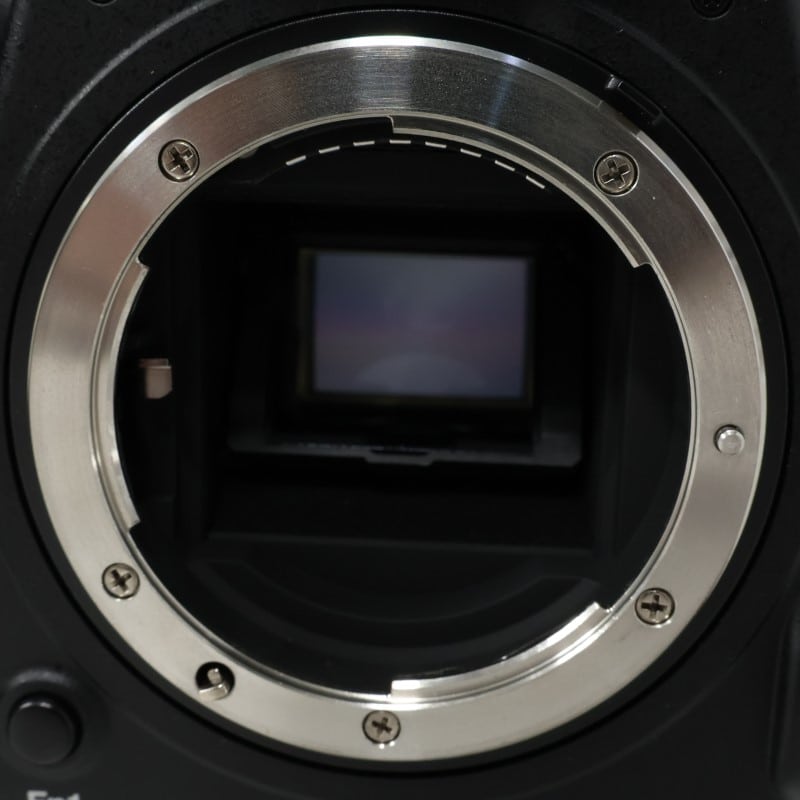D500 ボディ