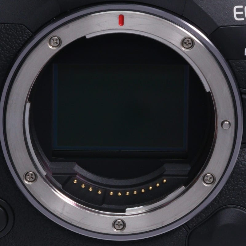 EOS R5 Mark II ボディー