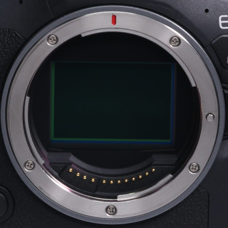 EOS R6 Mark II ボディー