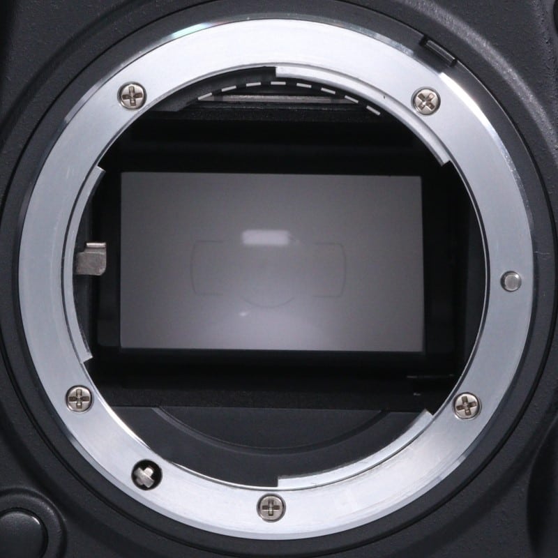 D600 ボディ