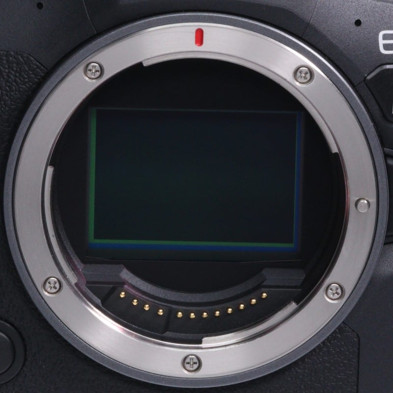 EOS R6 Mark II ボディー