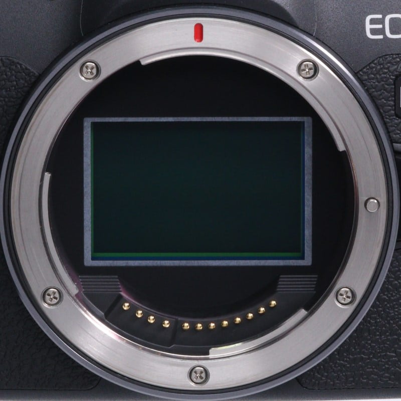 EOS R8 ボディー 海外モデル