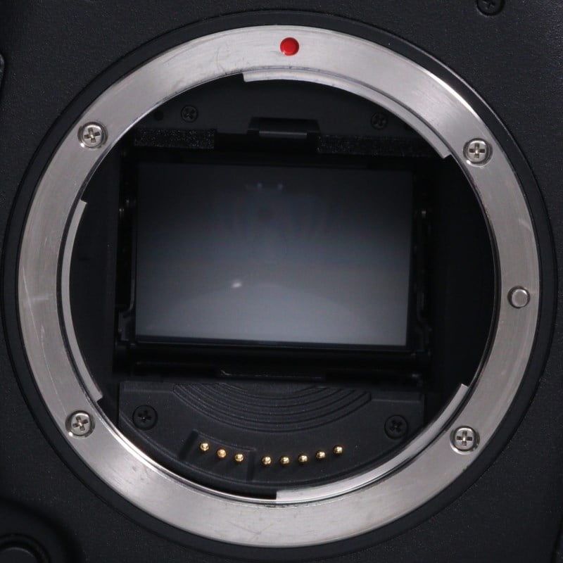 EOS-1D X ボディー