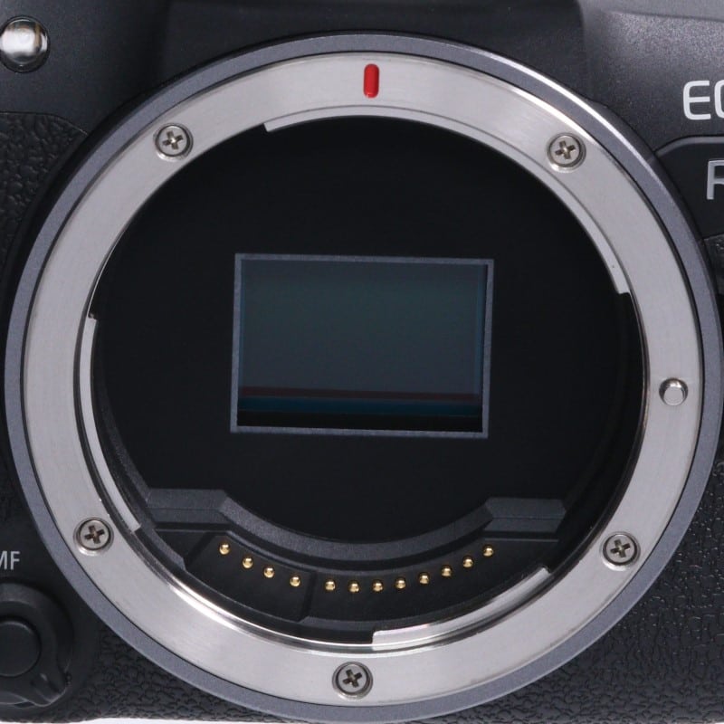 EOS R10 ボディー