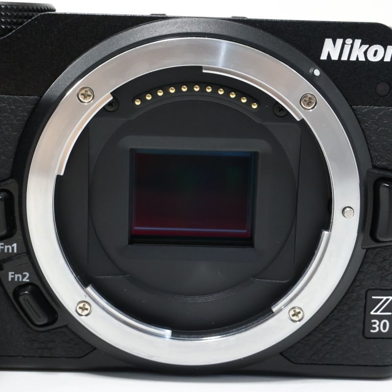 Z30 ボディ