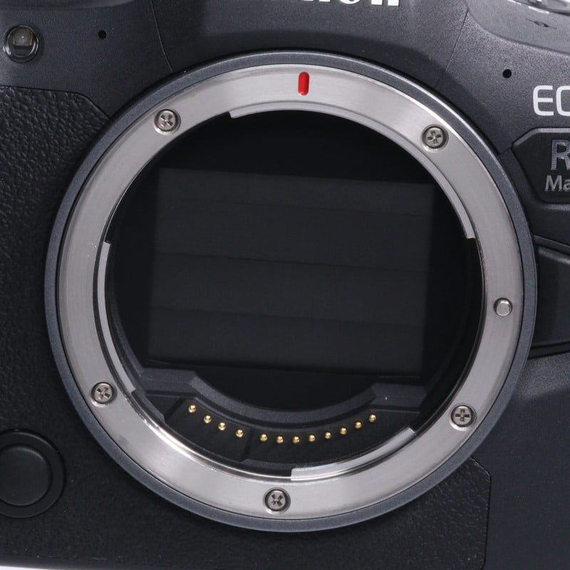 EOS R6 Mark II ボディー