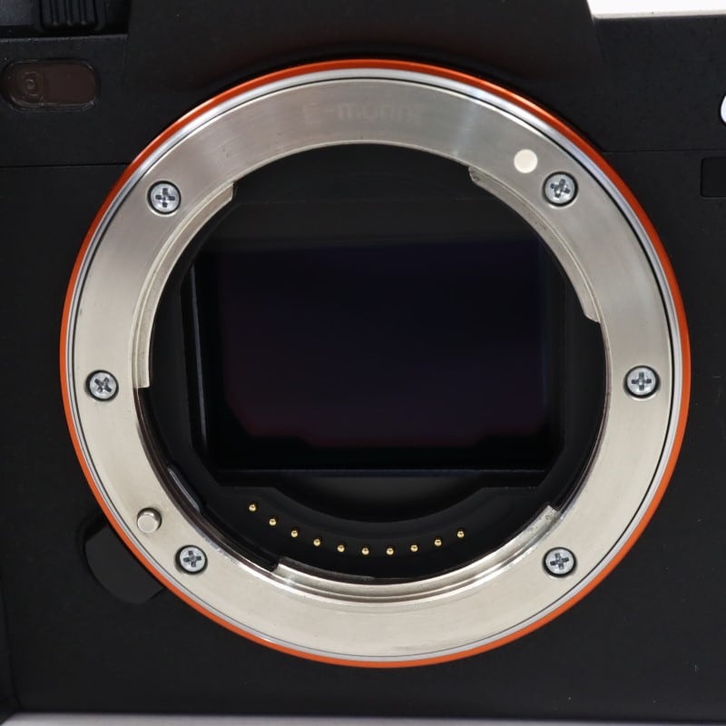 EOS R6 ボディー