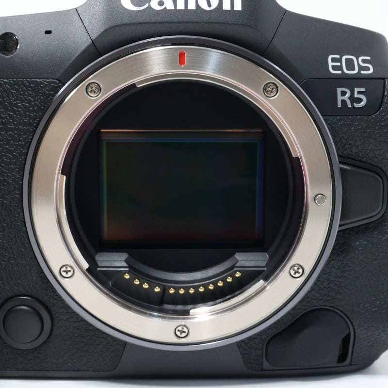 EOS R5 ボディー