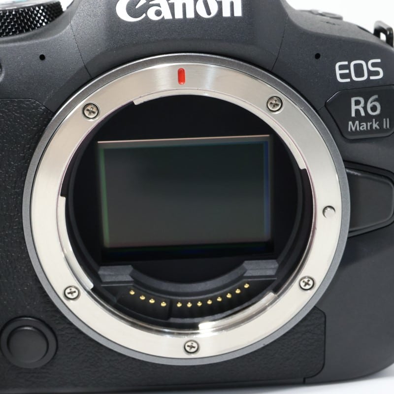EOS R6 Mark II ボディー