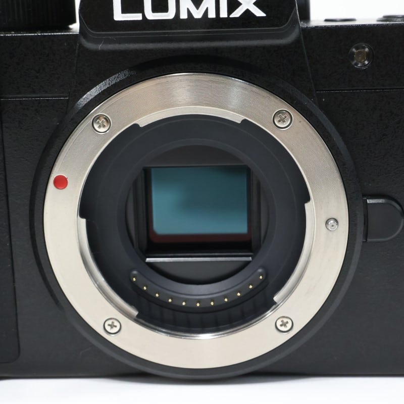 LUMIX G100D ボディ DC-G100D