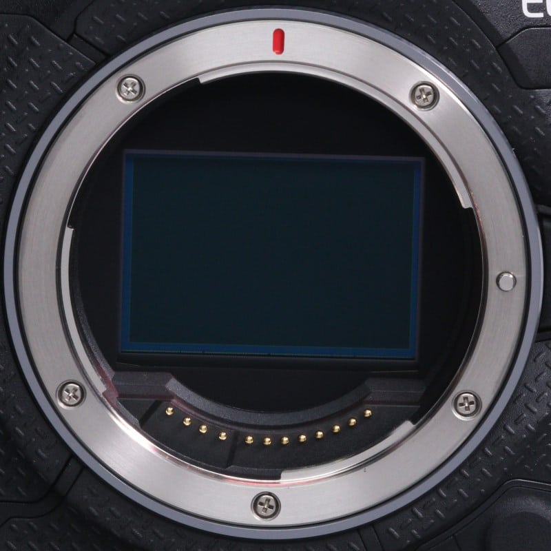 EOS R1 ボディー