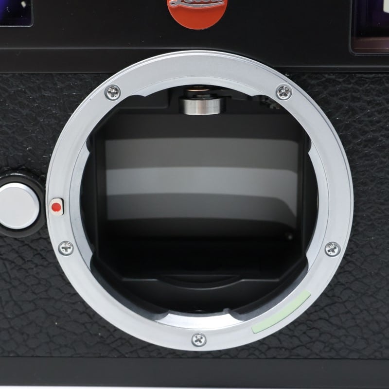 Leica M (Typ262)
