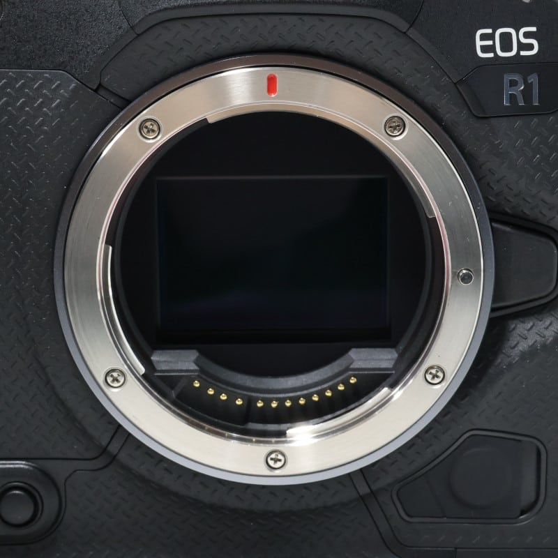 EOS R1 ボディー