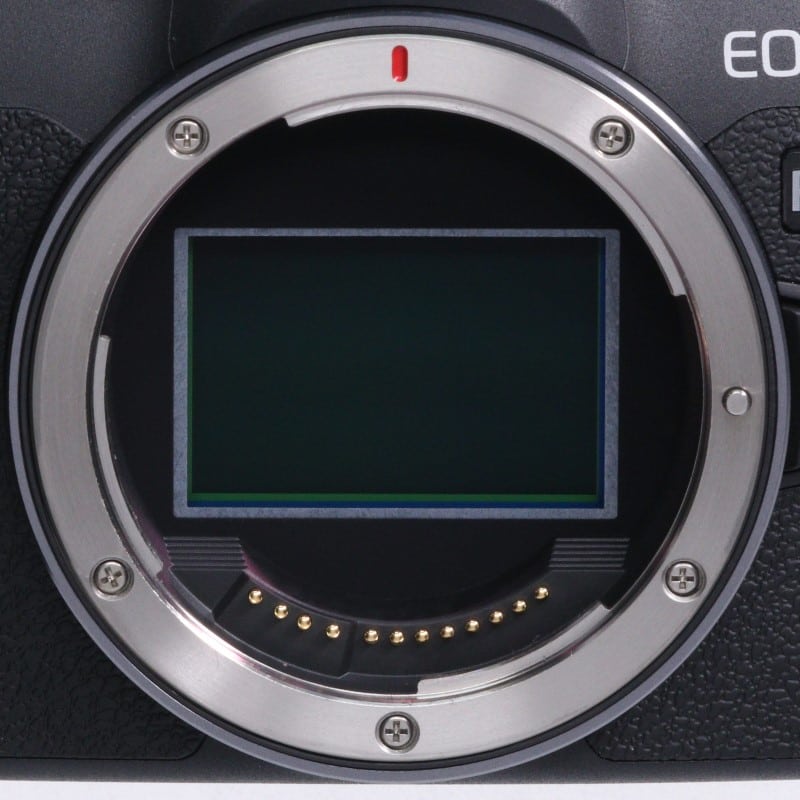 EOS R8 ボディー