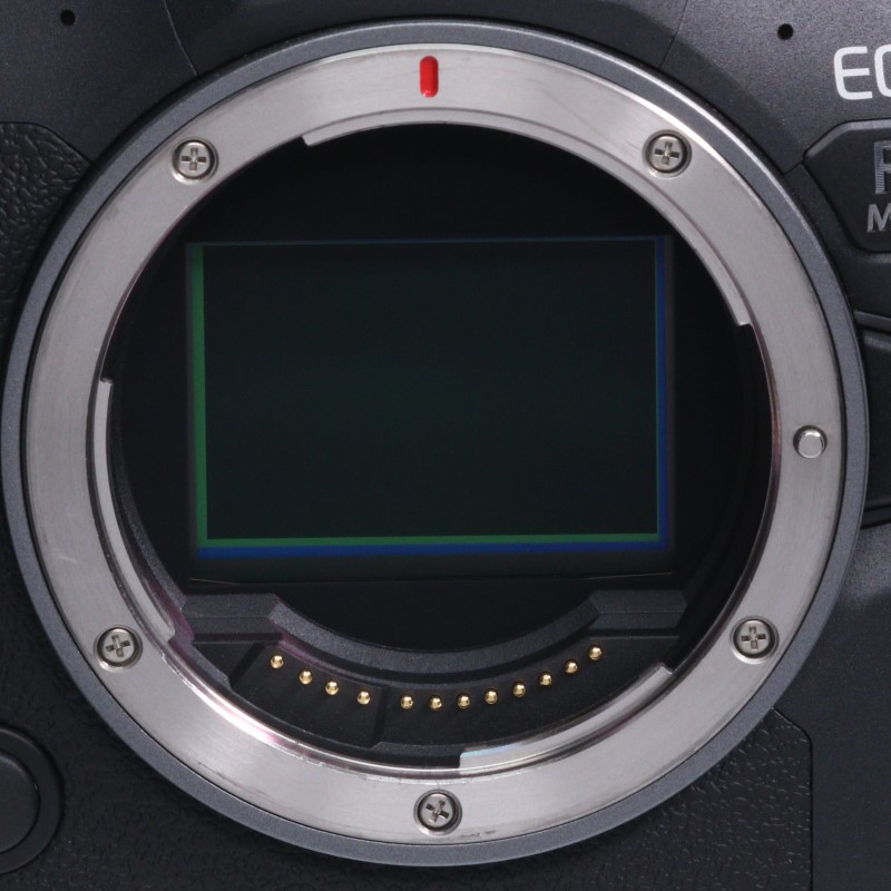 EOS R6 Mark II ボディー