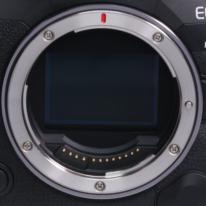 EOS R5 Mark II ボディー