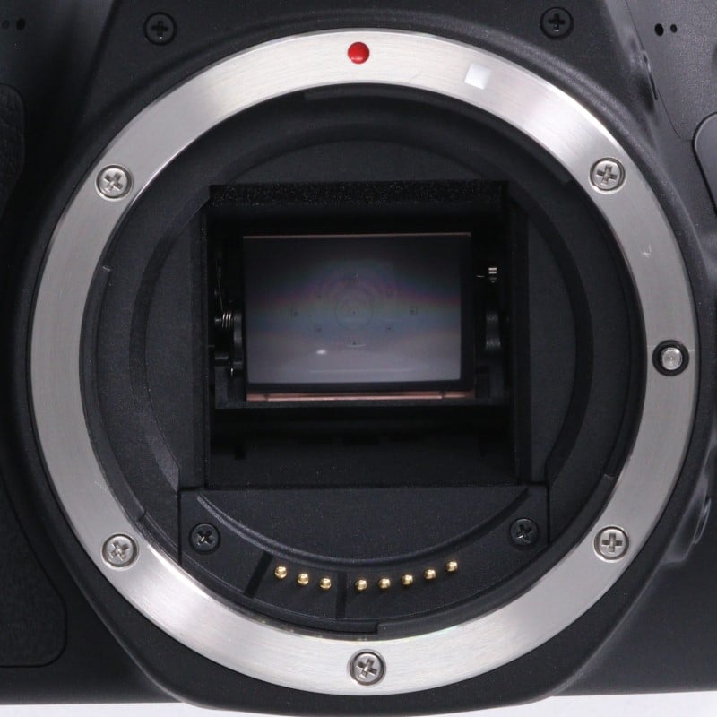 Canon EOS Kiss X9 ボディ ブラック 中古 C2120129667101|中古 Canon EOS Kiss X9 ボディ ブラック 中古 C2120129667101|中古