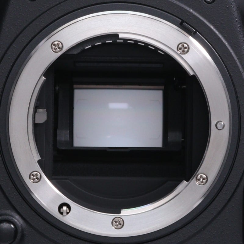 D500 ボディ