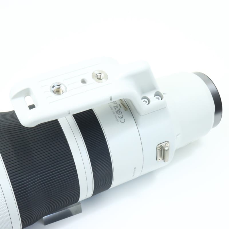 RF100-300mm F2.8 L IS USM