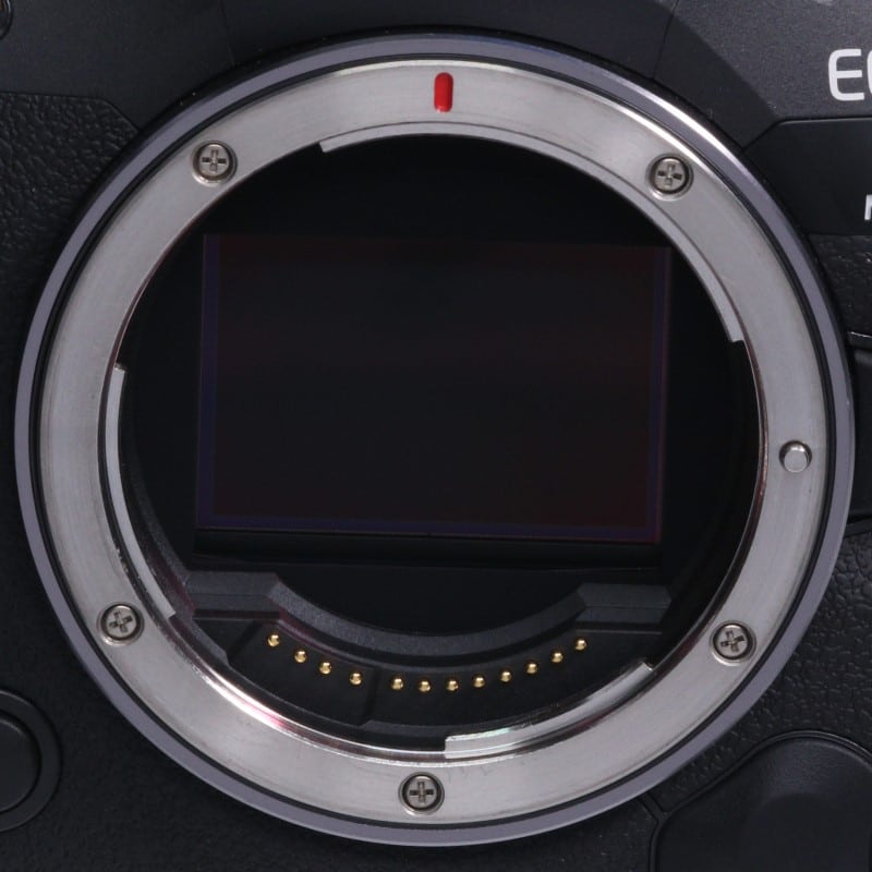 EOS R5 Mark II ボディー