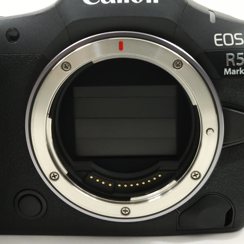 EOS R5 Mark II ボディー