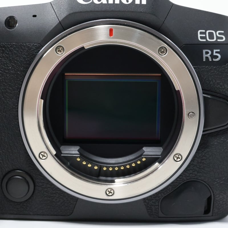 EOS R5 ボディー