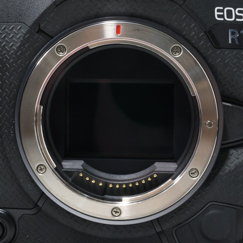 EOS R1 ボディー