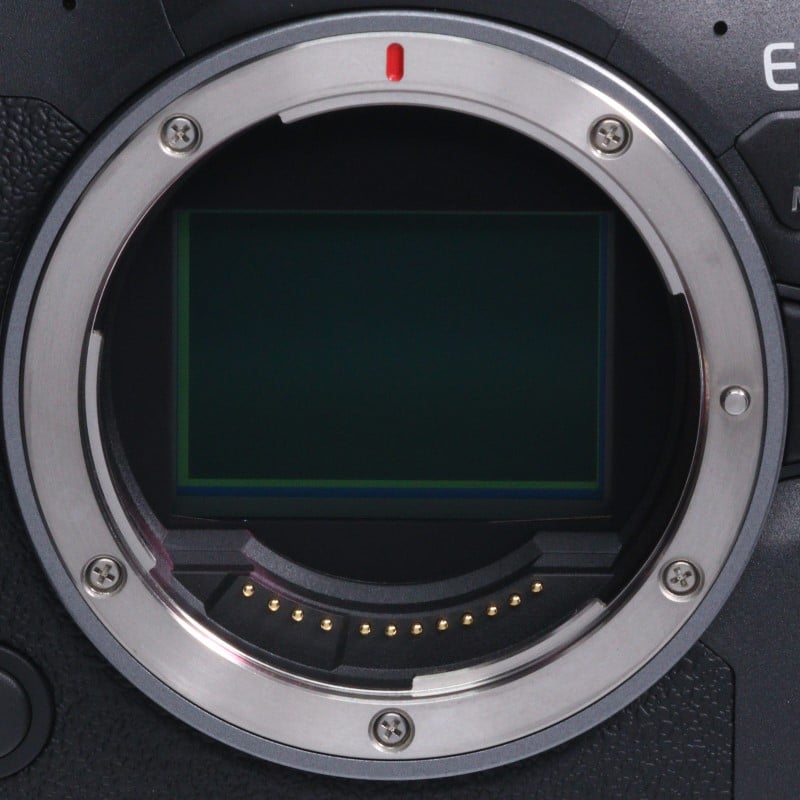 EOS R6 Mark II ボディー
