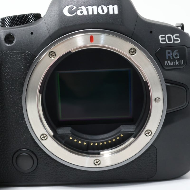 EOS R6 Mark II ボディー
