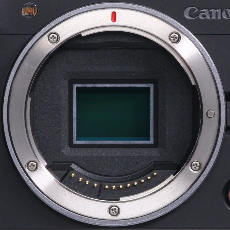 EOS R50 V ボディー