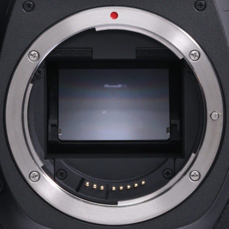 EOS 5Ds ボディー