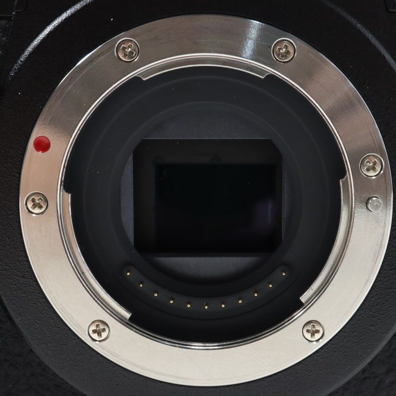 LUMIX G9 PROII ボディ DC-G9M2