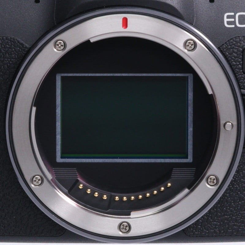 EOS R8 ボディー